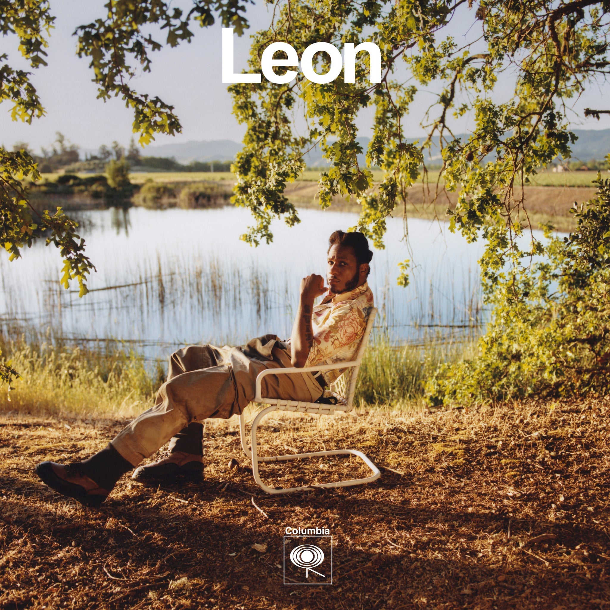 Leon: Vinyl LP