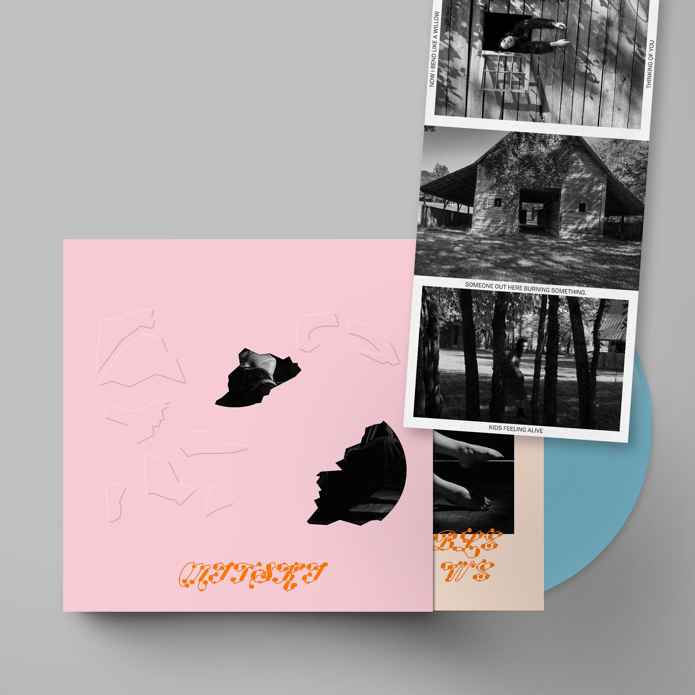 The Land is Inhospitable and So Are We: Limited Robin Egg Blue Vinyl LP w/ Pink Die-Cut Slipcase & Postcard Set
