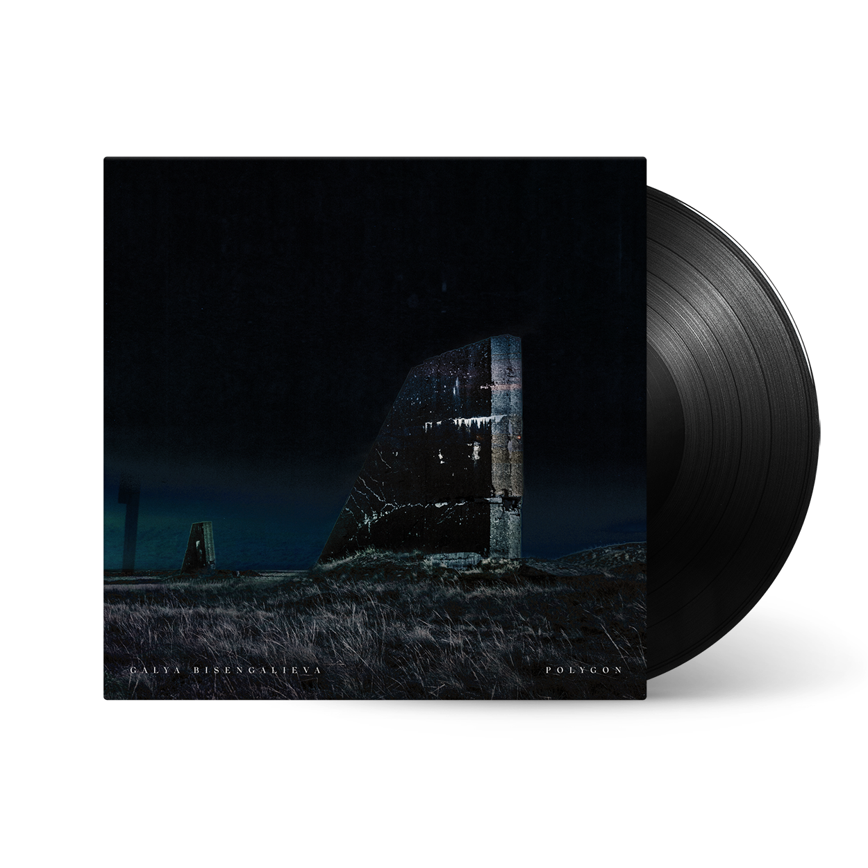 Polygon: Vinyl LP