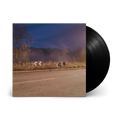 Models: Vinyl LP