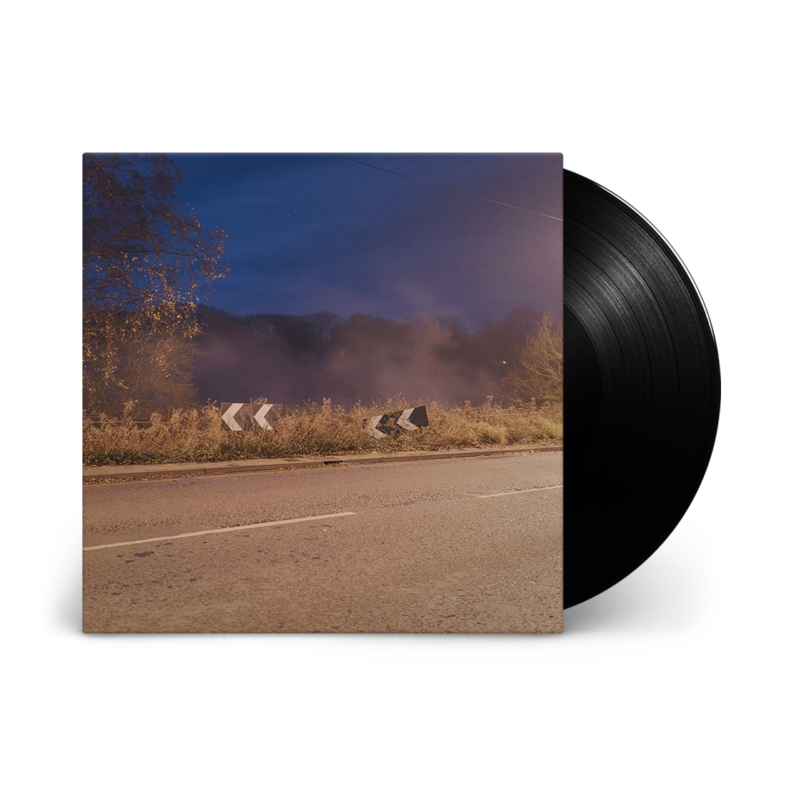 Models: Vinyl LP
