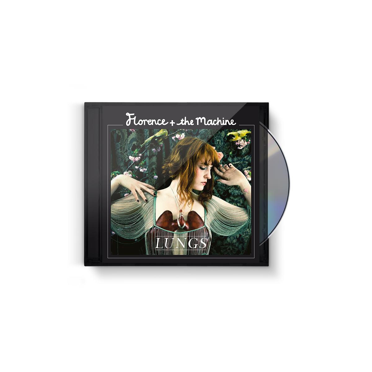 Lungs: CD