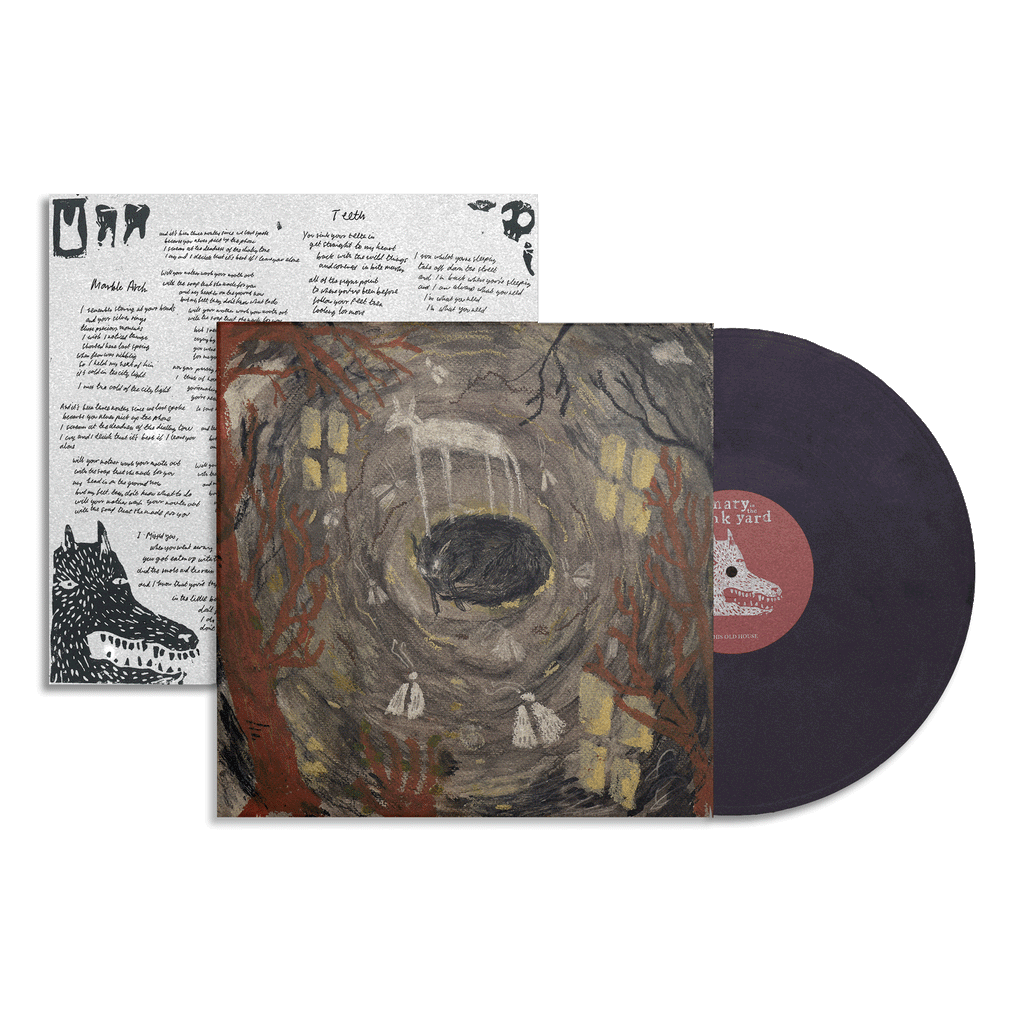 this old house: Eco-Mix Recycled Vinyl LP