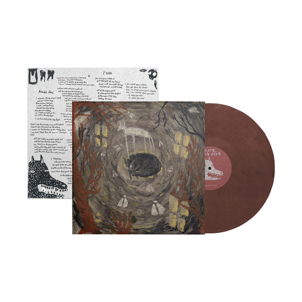 this old house: Eco-Mix Recycled Vinyl LP