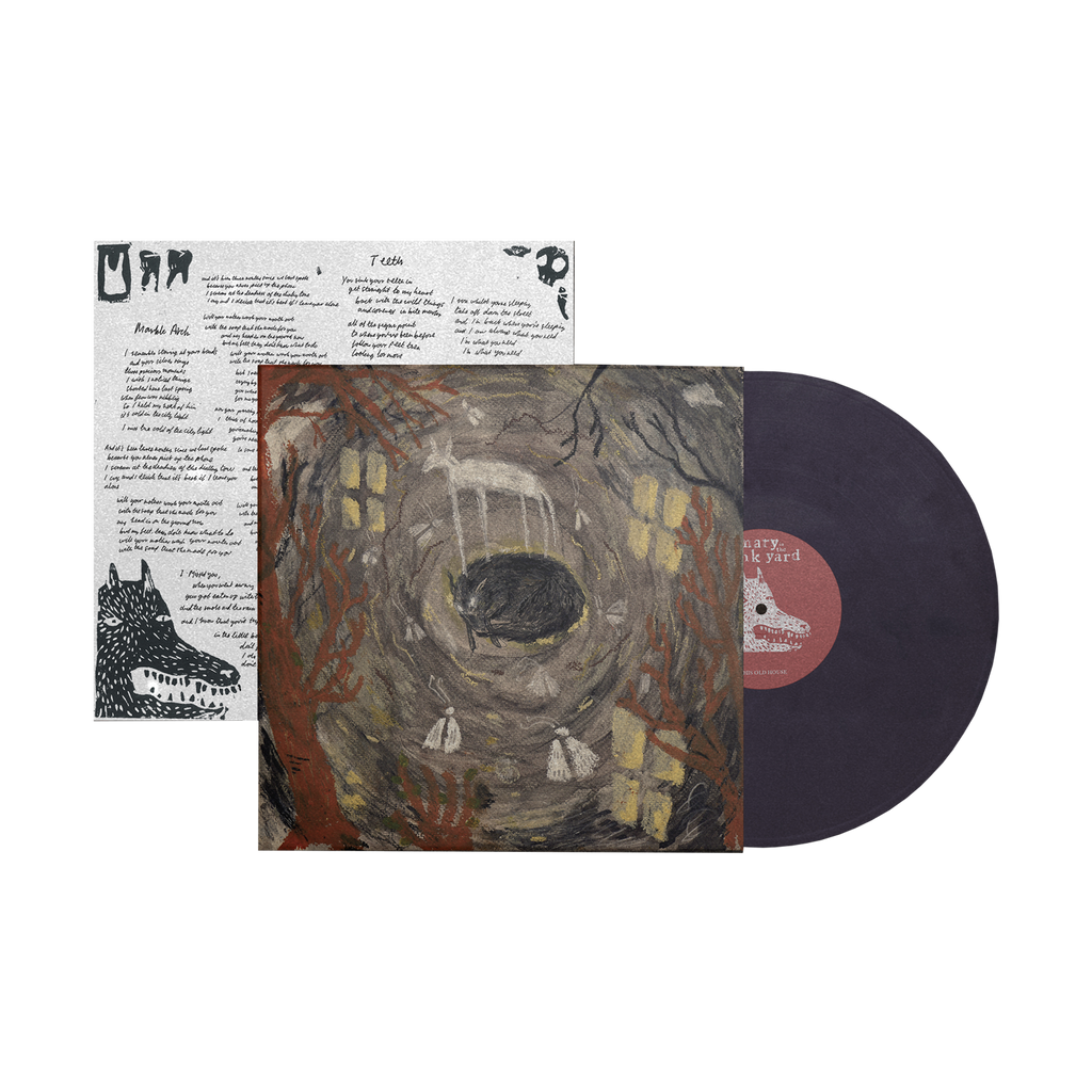 this old house: Eco-Mix Recycled Vinyl LP