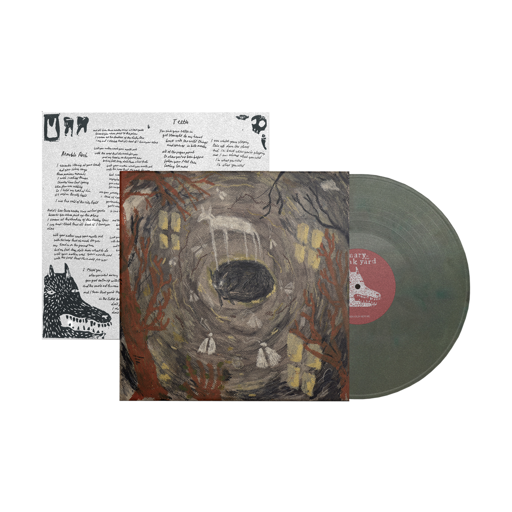 this old house: Eco-Mix Recycled Vinyl LP