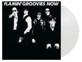 Now Coloured Vinyl 1LP
