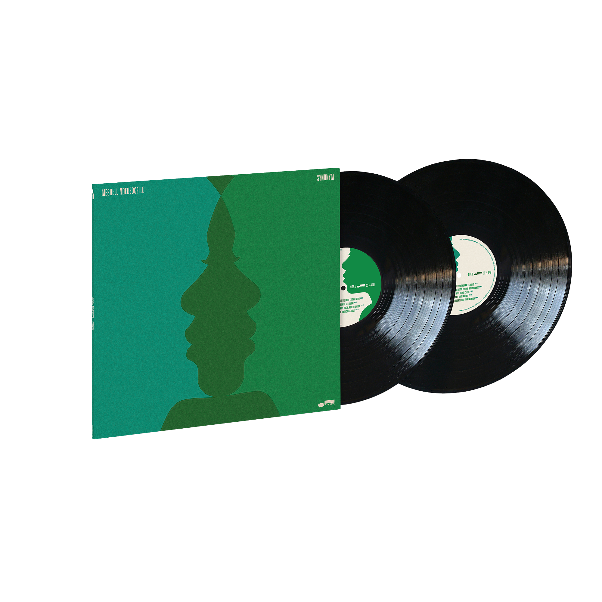 Synonym - Standard LP