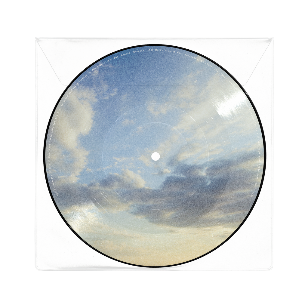 Meltdown: Limited Picture Disc Vinyl 7" Single