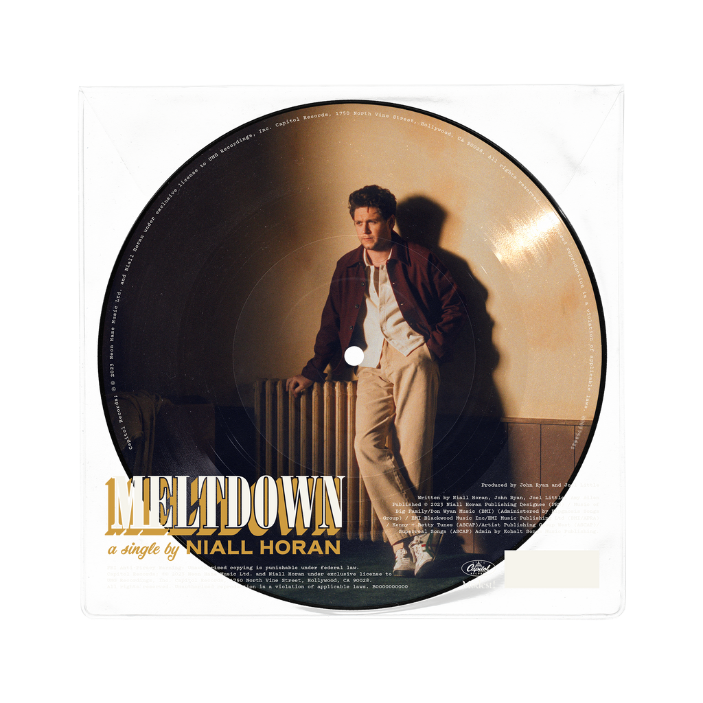 Meltdown: Limited Picture Disc Vinyl 7" Single