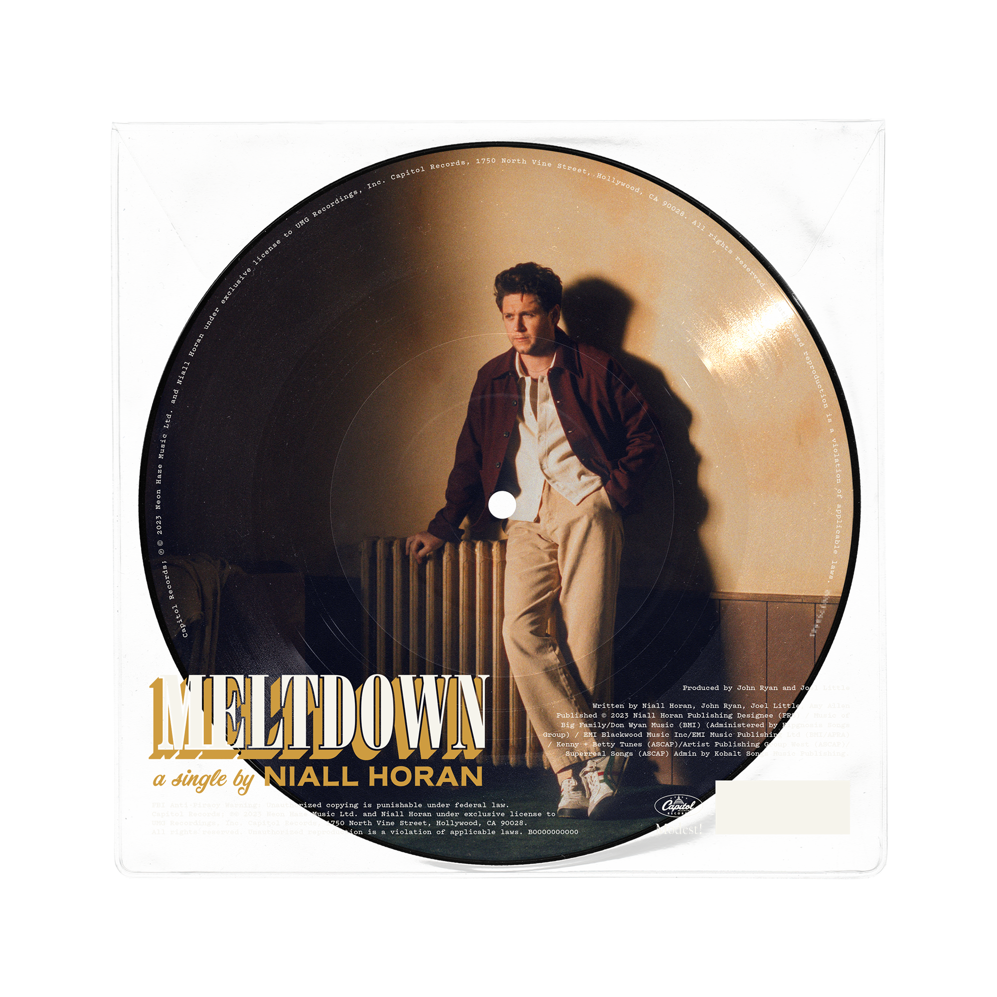 Meltdown: Limited Picture Disc Vinyl 7" Single