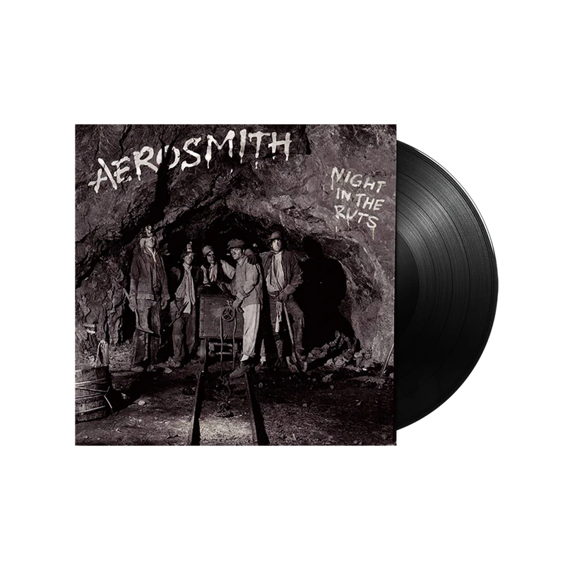 Night In the Ruts (LP)