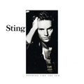 Nothing Like The Sun: CD