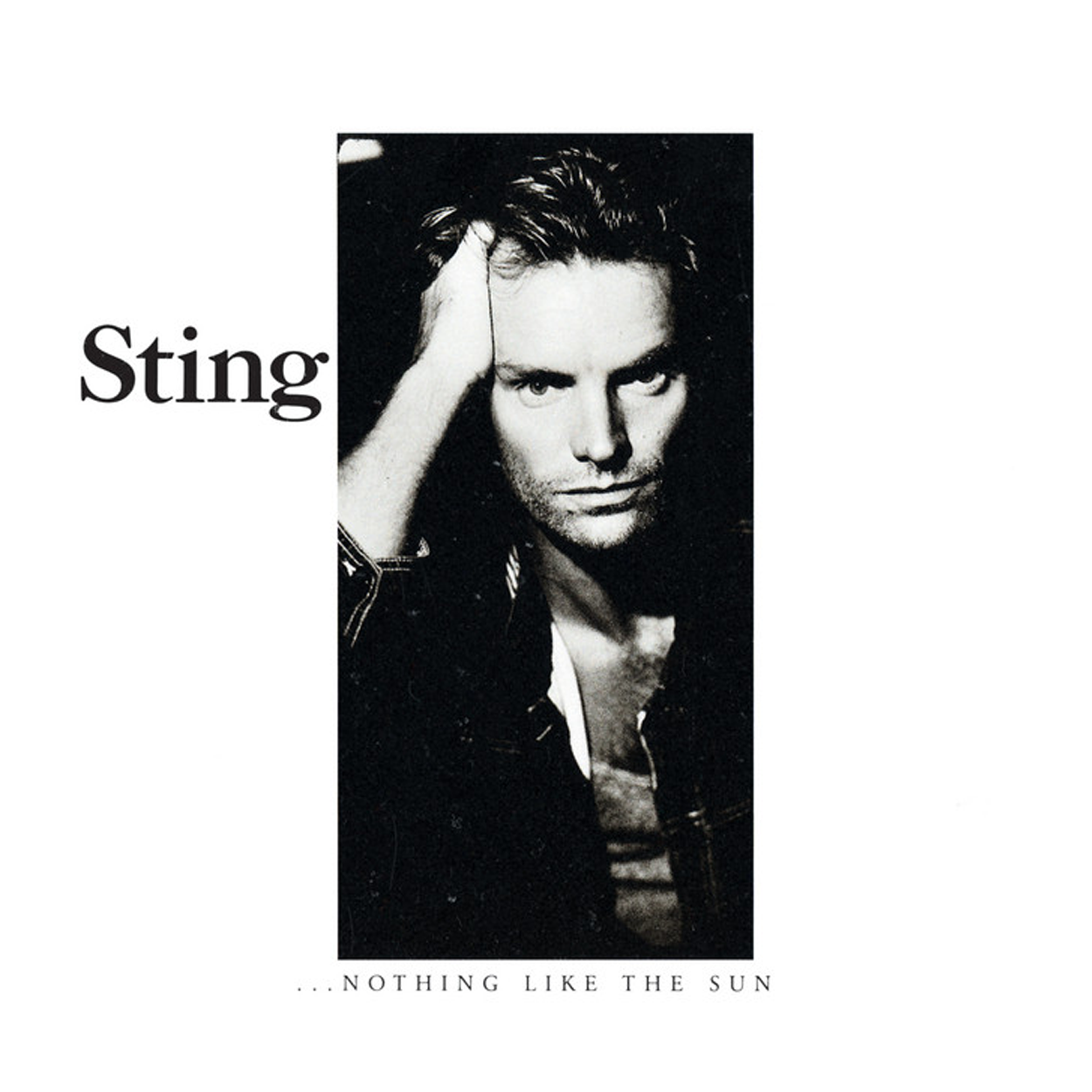 Nothing Like The Sun: CD