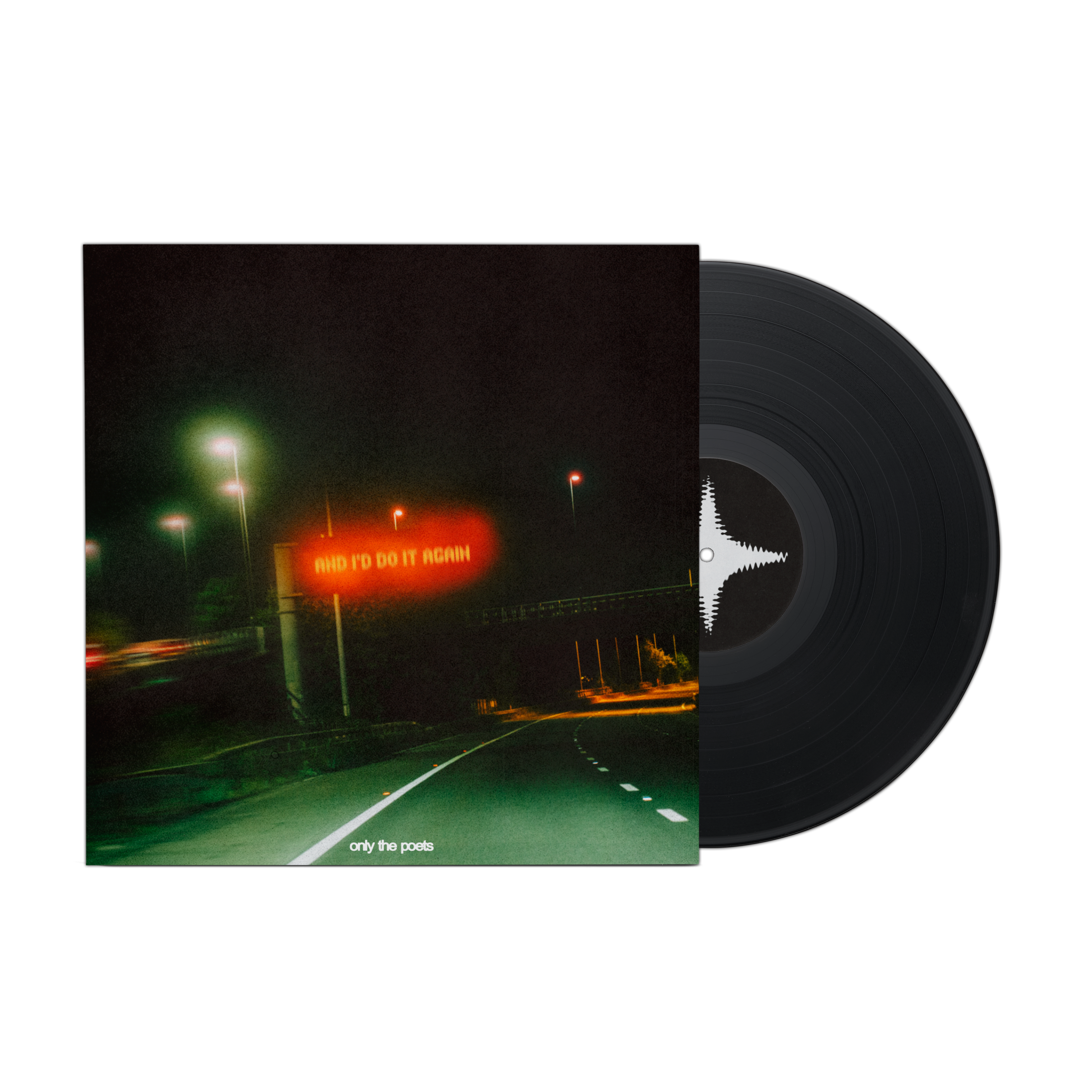 and i'd do it again - Vinyl