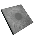 i/o: Boxset