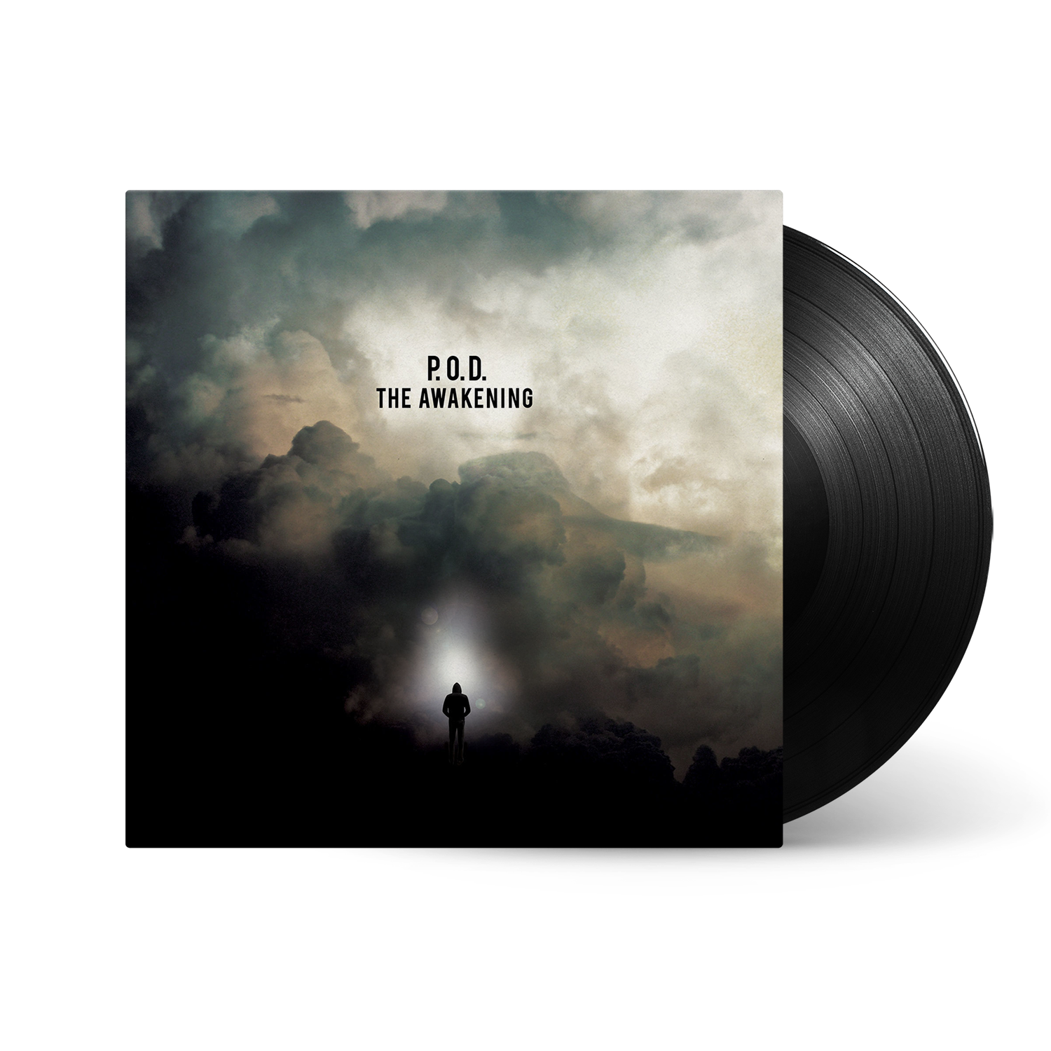 The Awakening: Vinyl LP