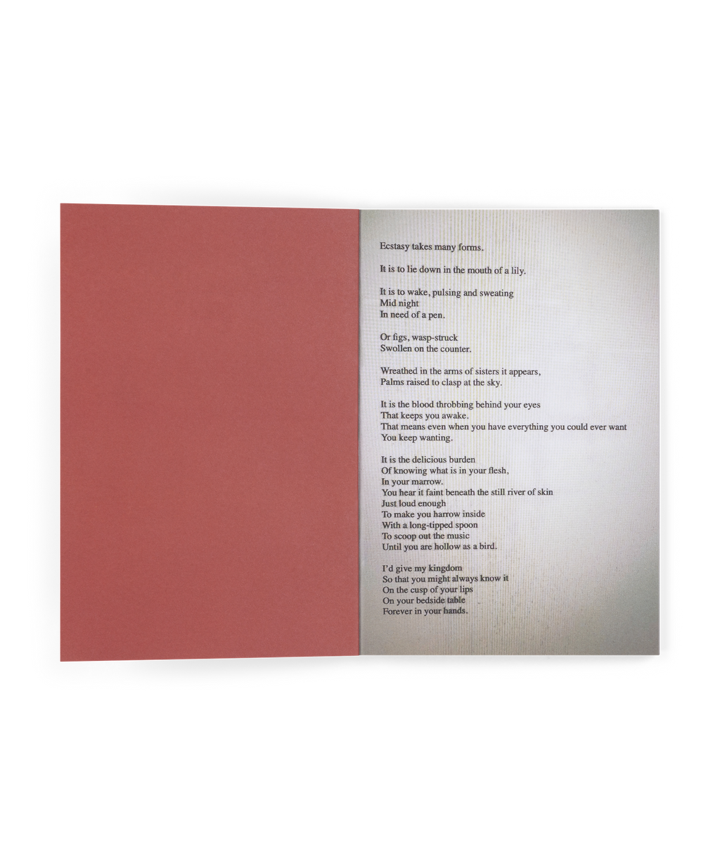Prelude To Ecstasy: CD Zine