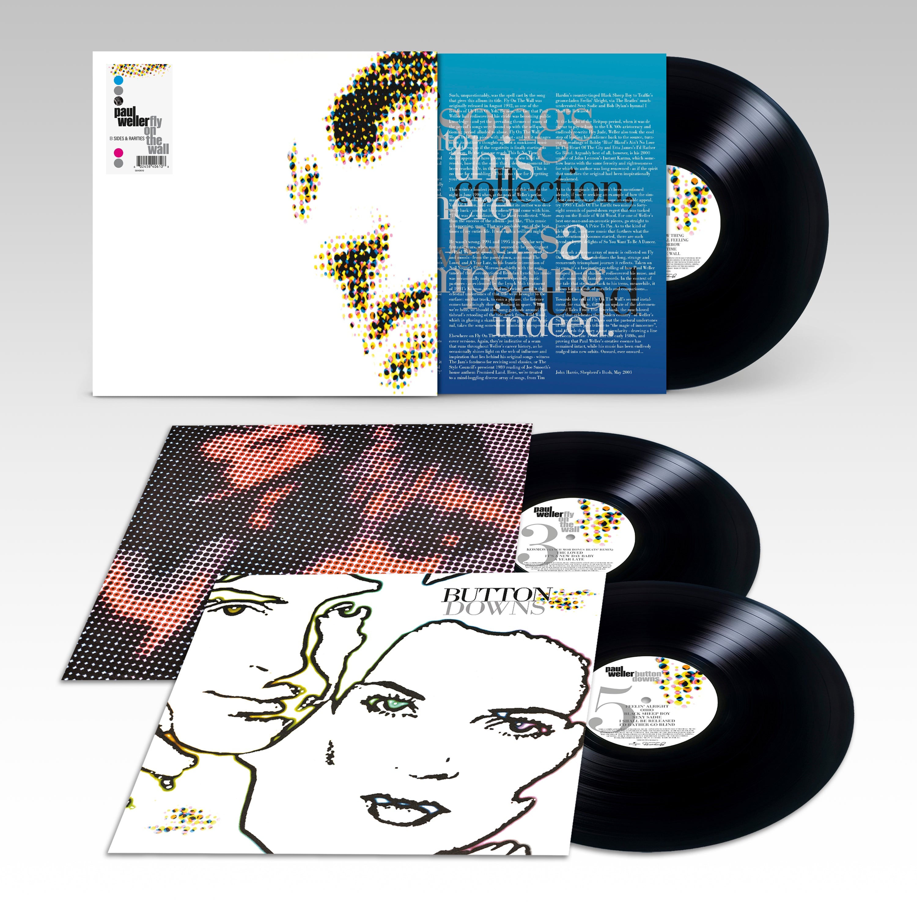 Fly On The Wall - B-sides & Rarities (1991 - 2001): Vinyl 3LP
