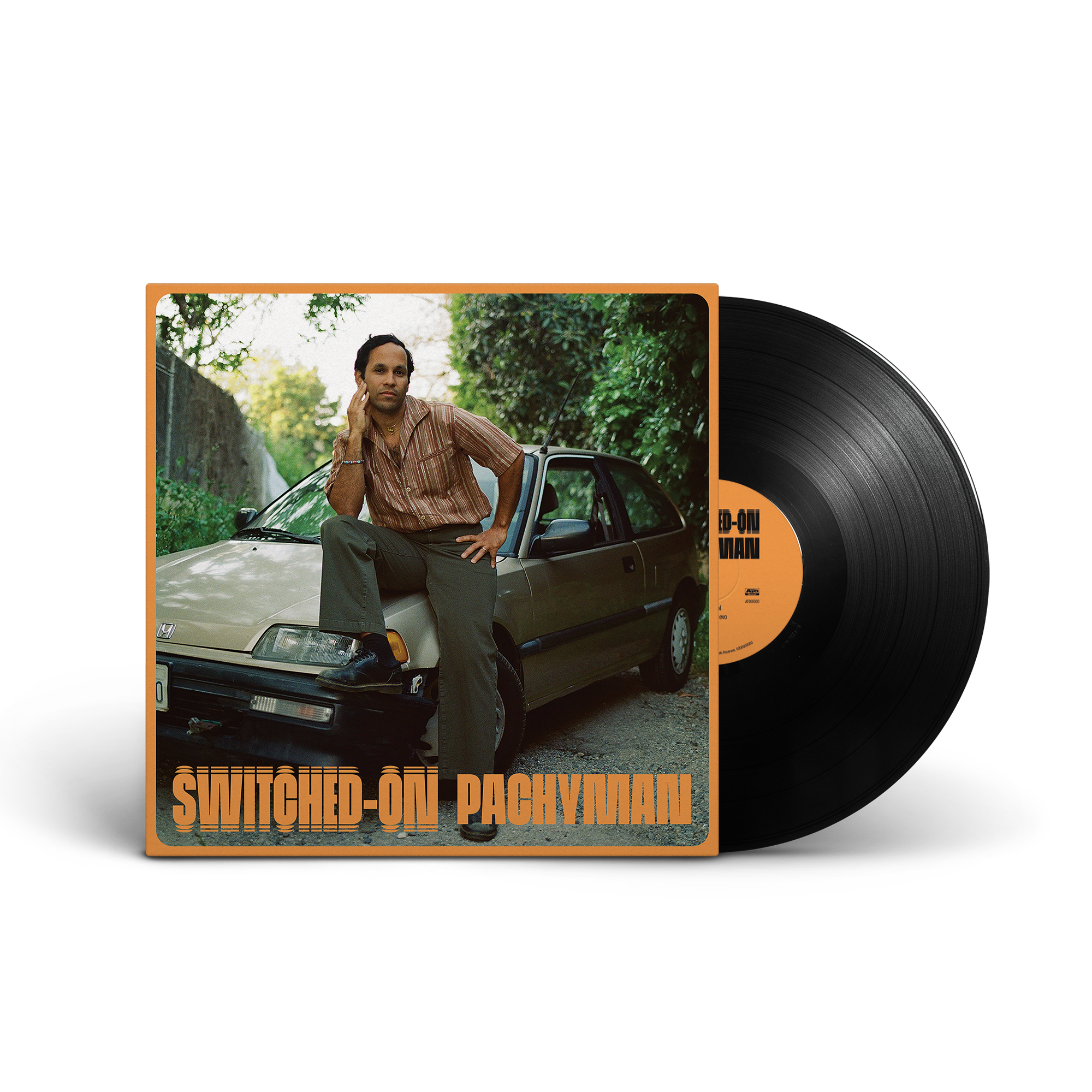 Switched-On: Vinyl LP