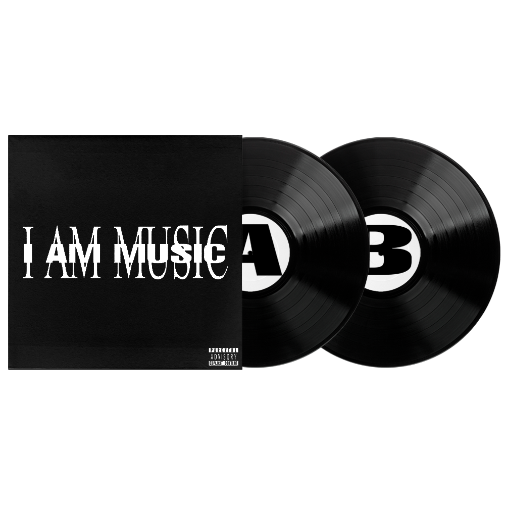 MUSIC: Vinyl 2LP