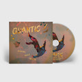 Dancing While Falling: CD