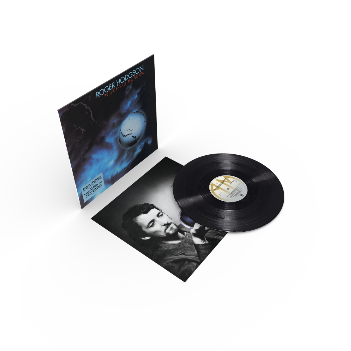 In The Eye Of The Storm (Half-Speed Master): Vinyl LP