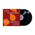 Remembering Now: Vinyl 2LP