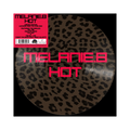 Hot: Leopard Print Picture Disc Vinyl LP [RSD2026]