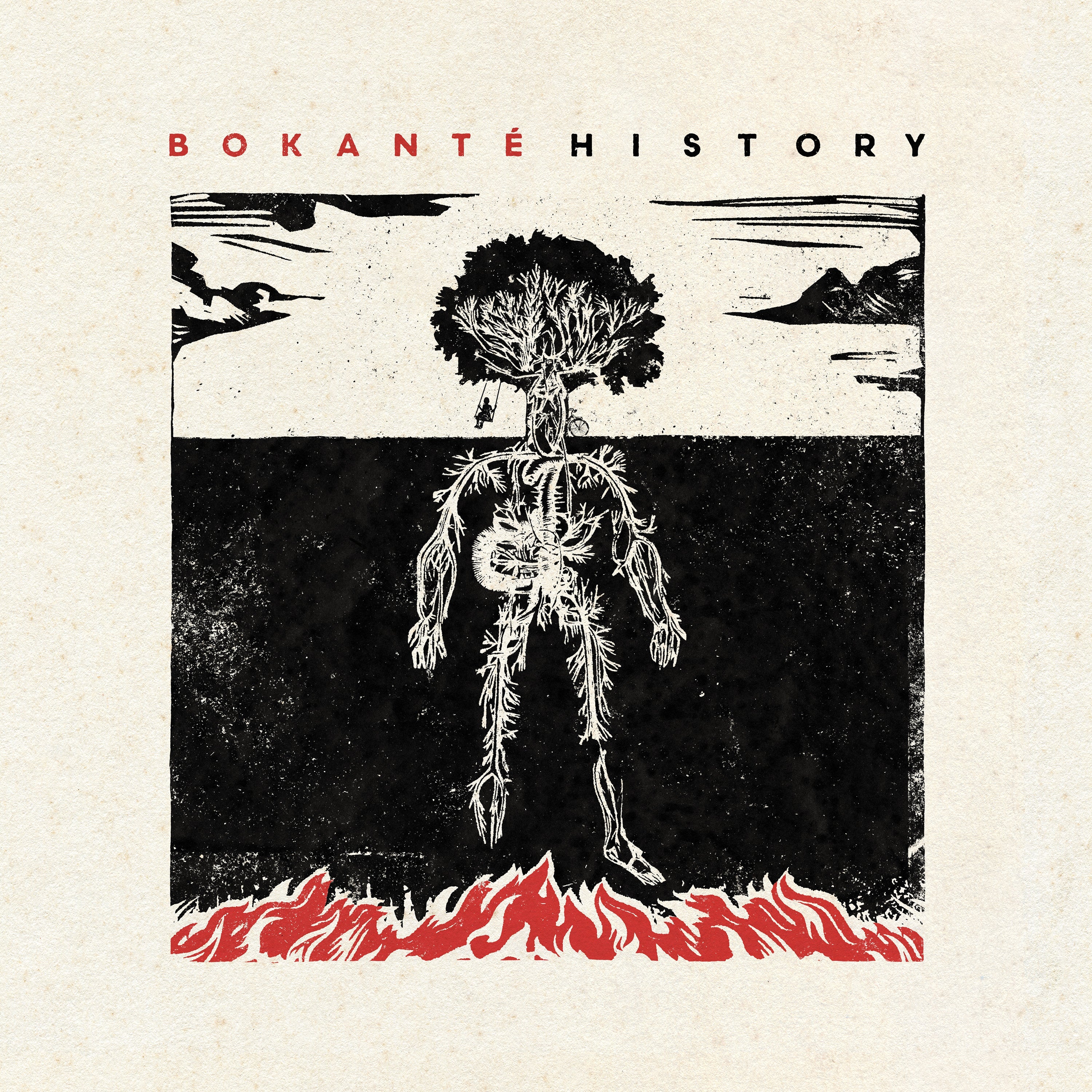History: Vinyl LP