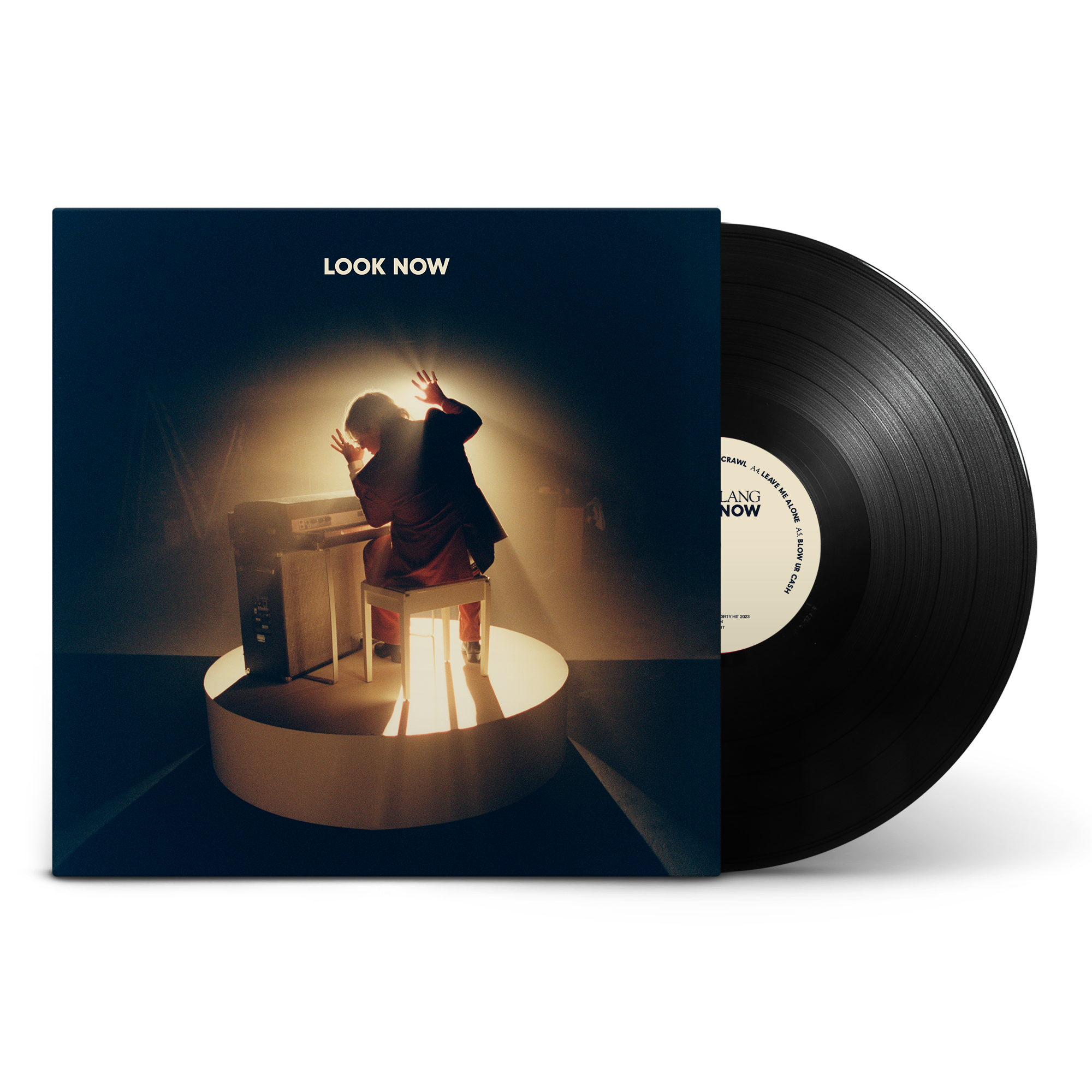 Look Now: Vinyl LP