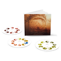 Selected Ambient Works Volume II: 3CD