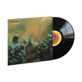 Katy Lied: Vinyl LP