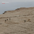 Sunwise: Black Vinyl LP