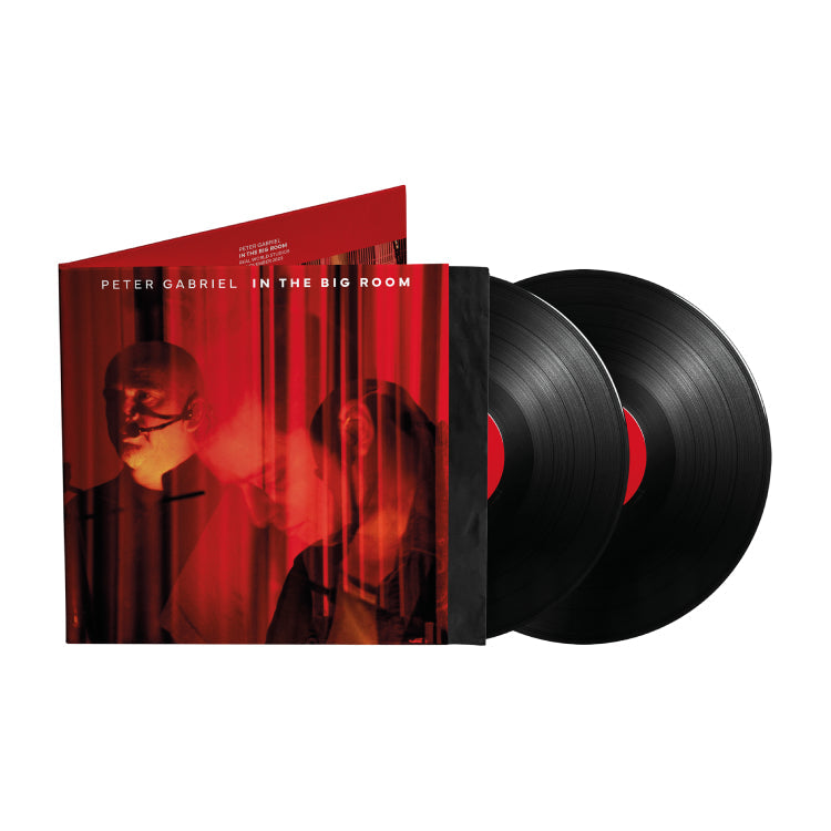 In The Big Room: Gatefold Vinyl 2LP