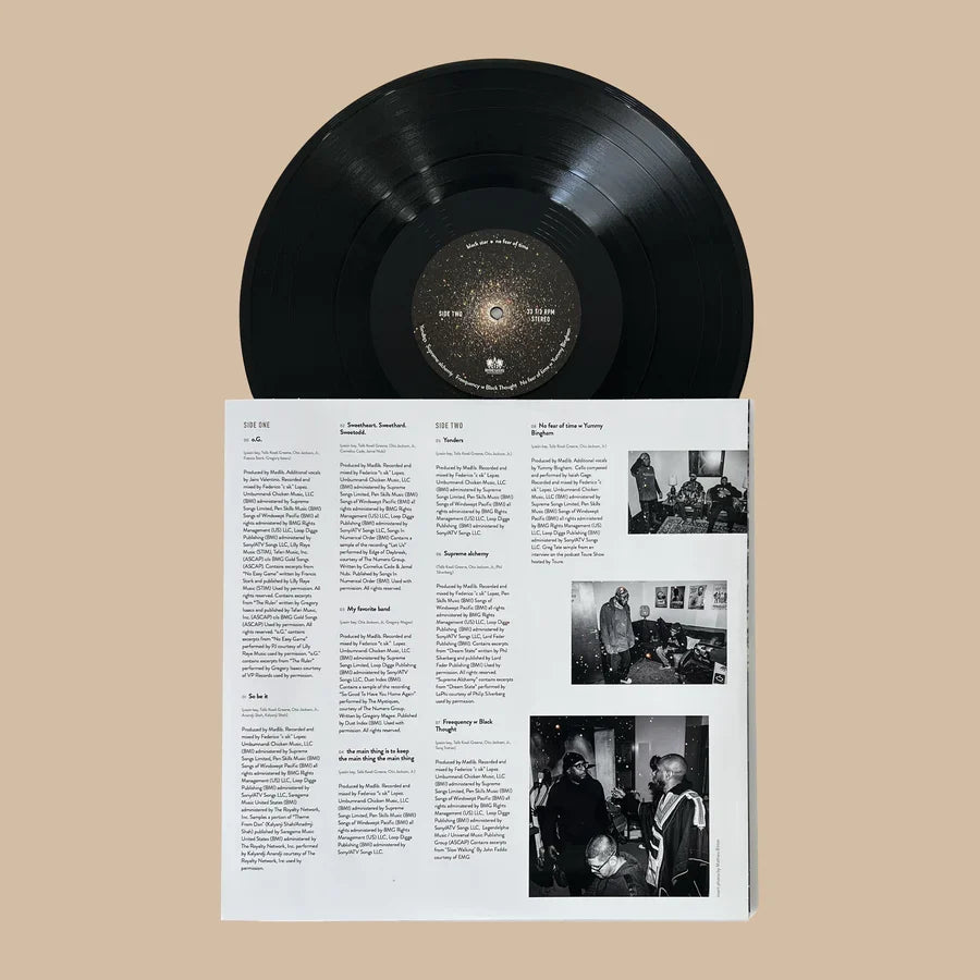 No Fear of Time: Vinyl LP