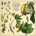Sean Khan Presents The Modern Folk & Jazz Ensemble: CD