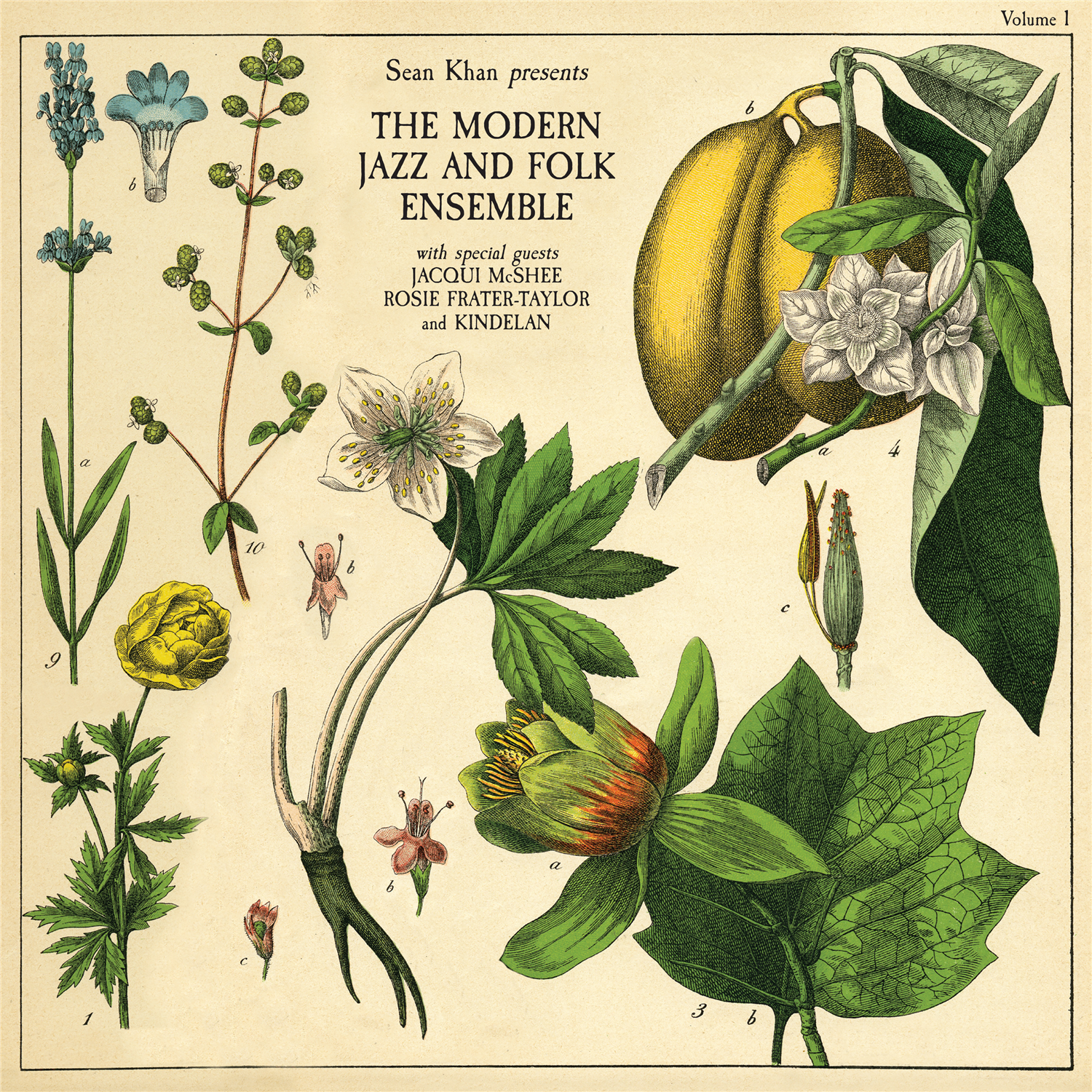 Sean Khan Presents The Modern Folk & Jazz Ensemble: CD