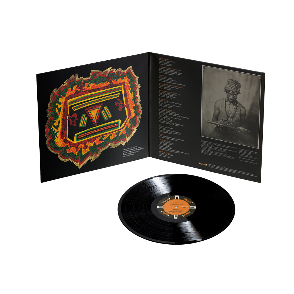 Perceive its Beauty, Acknowledge its Grace: Vinyl LP