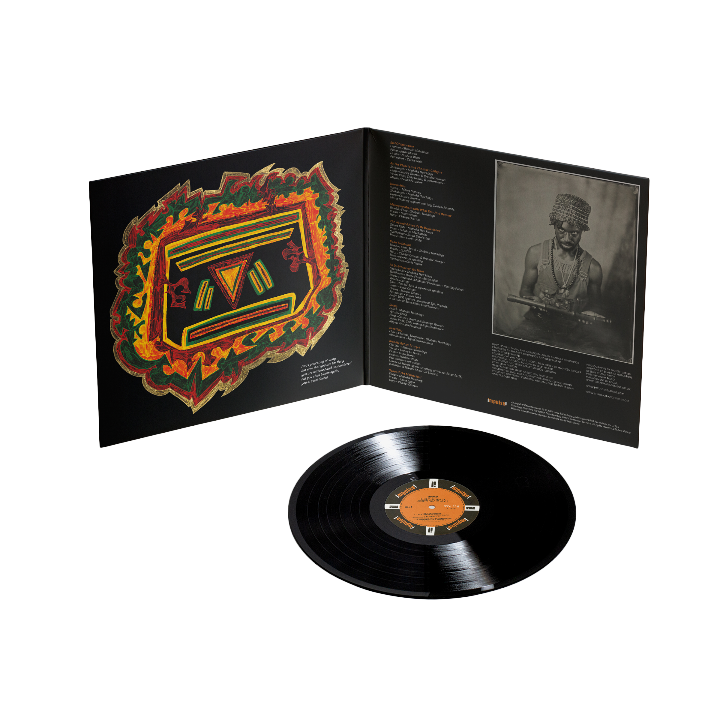Perceive its Beauty, Acknowledge its Grace: Vinyl LP