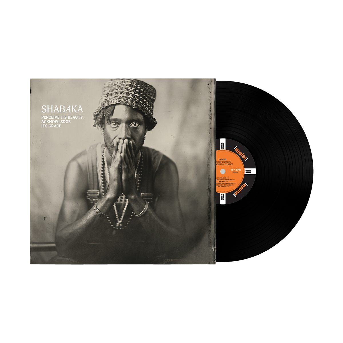 Perceive its Beauty, Acknowledge its Grace: Vinyl LP