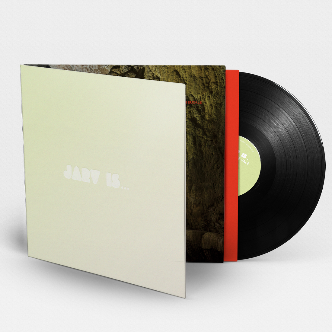 Beyond The Pale: Vinyl LP