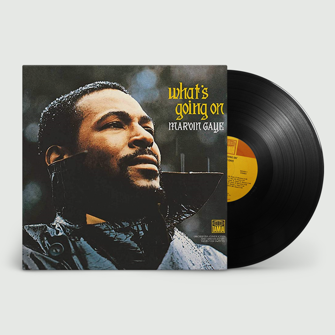 What's Going On: Vinyl LP