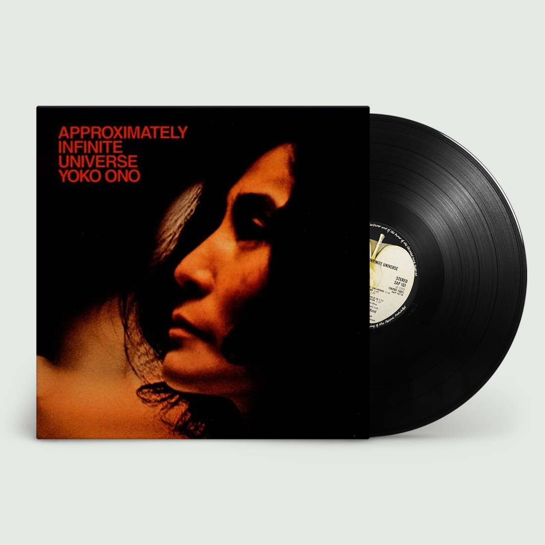 Approximately Infinite Universe: Vinyl LP