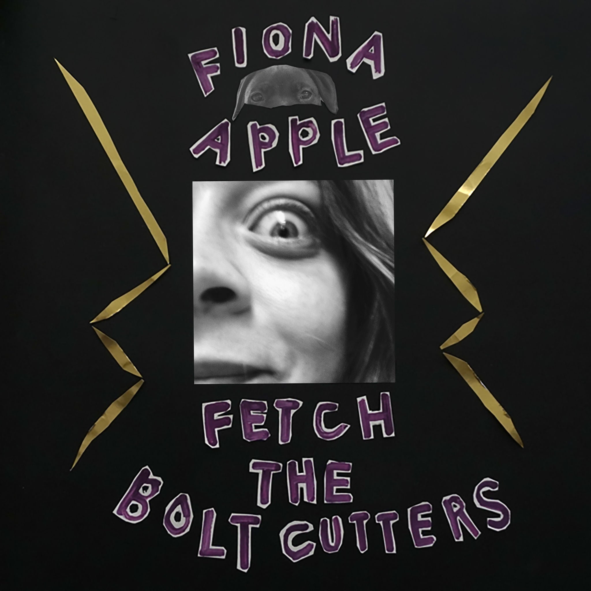 Fetch The Bolt Cutters: CD