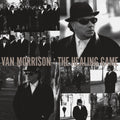 The Healing Game: Vinyl LP