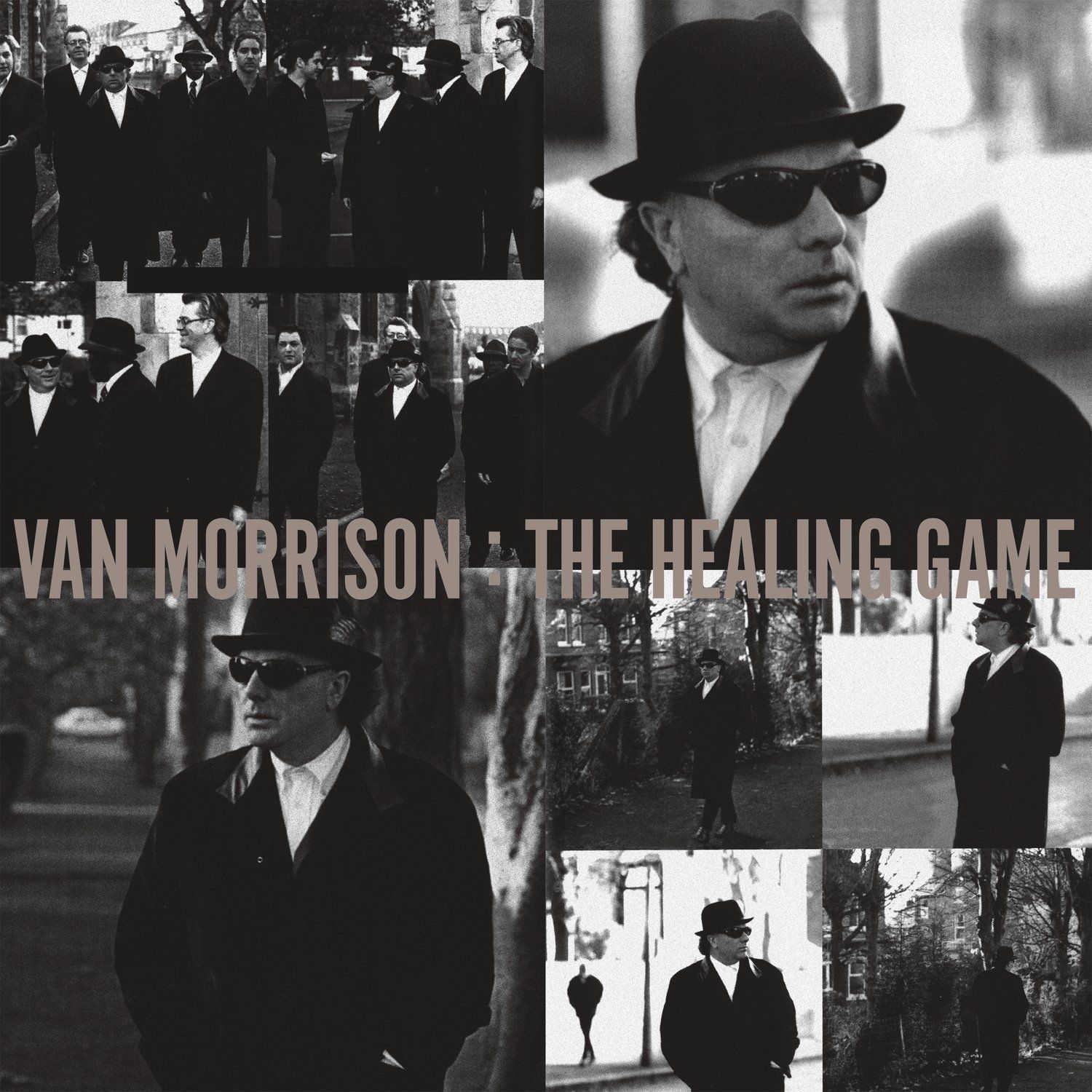 The Healing Game: Vinyl LP