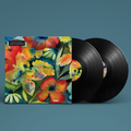 Songs and Instrumentals: Vinyl 2LP