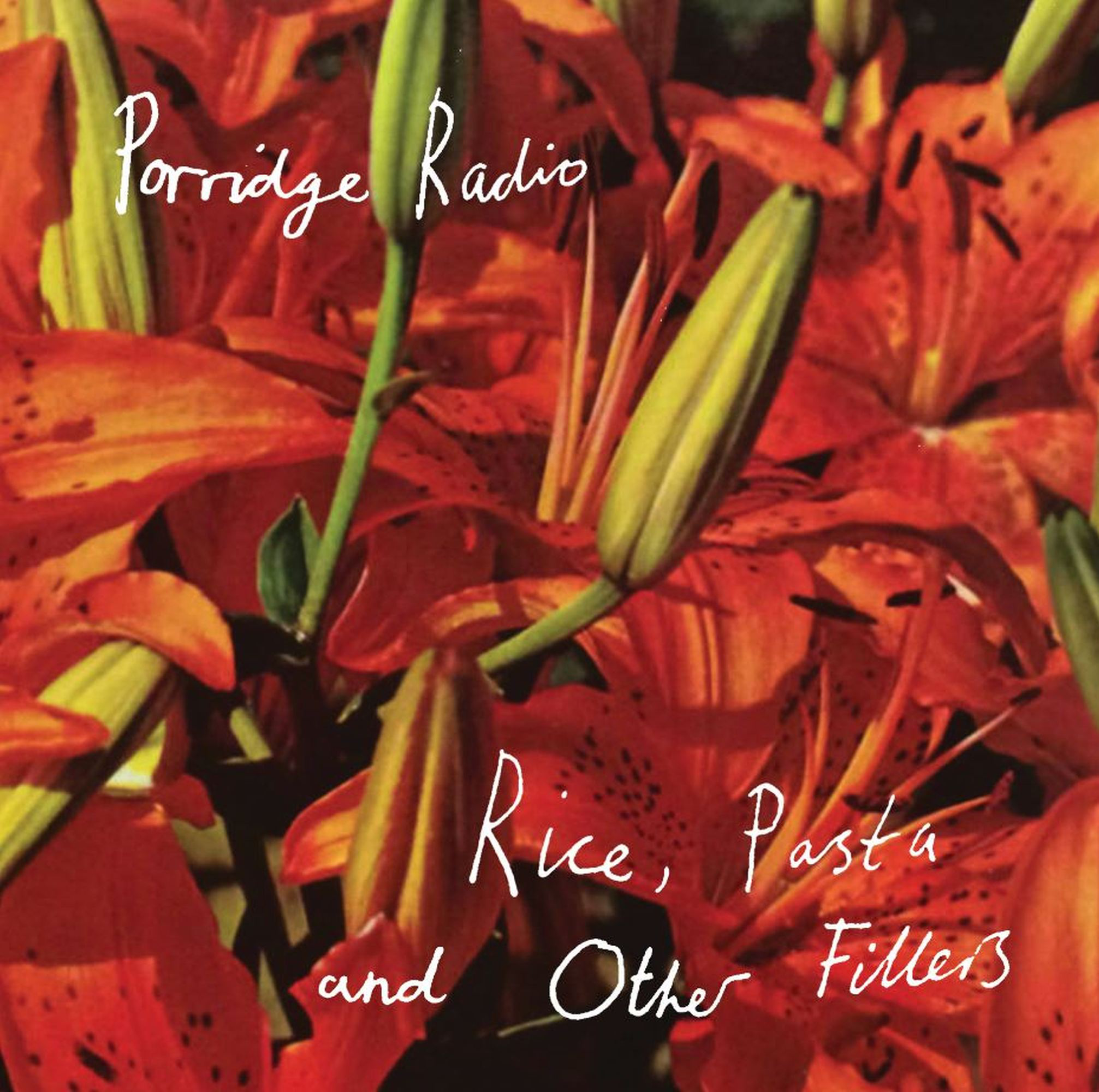 Rice, Pasta and Other Fillers Memorials of Distinction: Vinyl LP