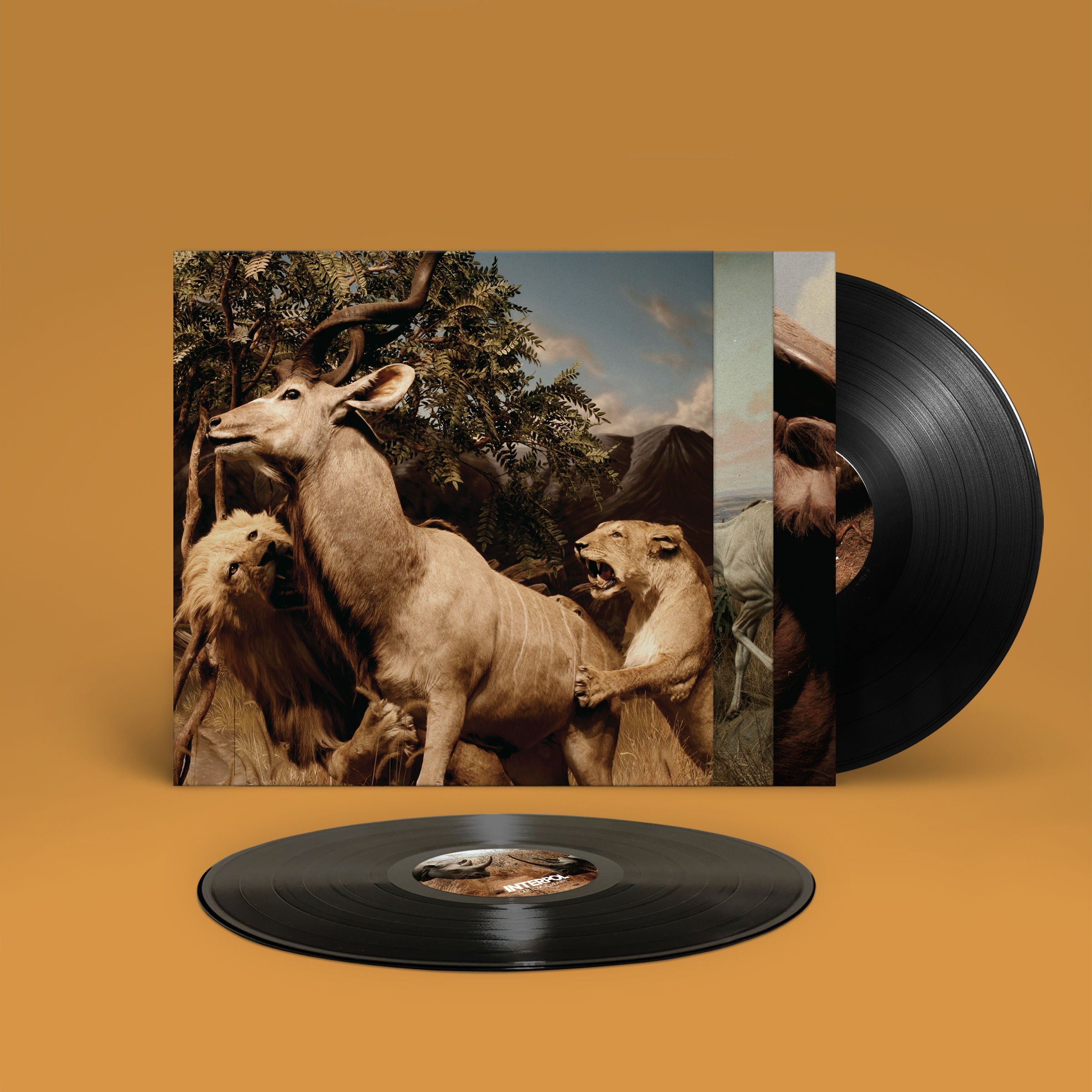 Our Love To Admire: Vinyl 2LP